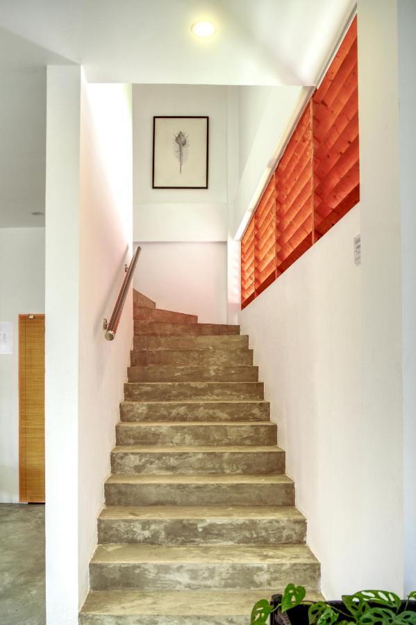 Island Ambience Hotel Maafushi Luaran gambar